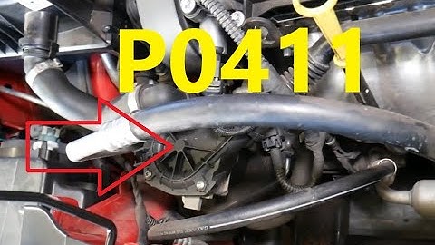 Causes and Fixes P0411 Code: Secondary Air Injection Incorrect Flow Detected