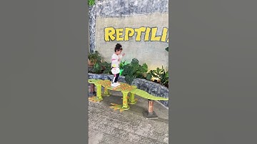 Chita chita #song #bollywood #hindisong #bollywoodsongs #movie #music #song #video #viral #youtube