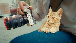 The Rare Istanbul Moments Most Photographers Walk Past