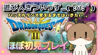 船を手にしてからどうすればいいのか！！！　#ドラクエ3HD2D