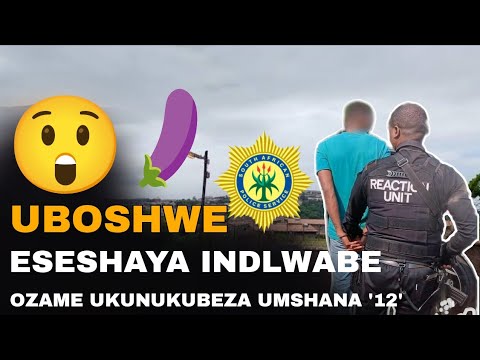 ISIMANGA OBEZAMA UKUDLWE GULA UMSHANA EBOSHWA ESESHAYA INDLWABU