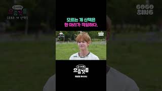 모르는 개 산책은 한 마리가 적당하다. #요서비의요즘것들