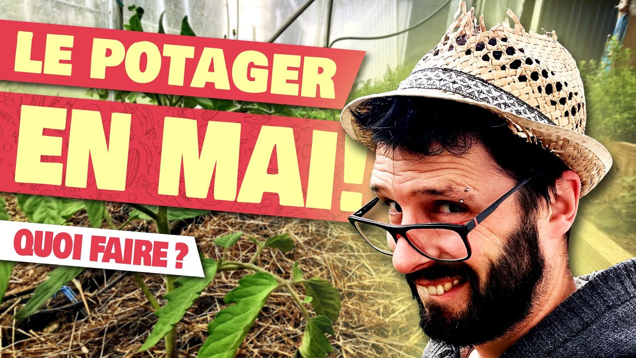 POTAGER - Quoi faire en MAI au Potager?