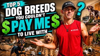 Top 5 Dog Breeds You Couldn’t Pay Me to Live With