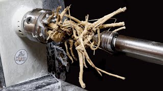 Wood Turning  The Spider Wood Root