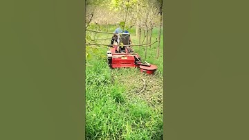 Smart technique to reduce weeds in the garden with modern lawn machine #shorts