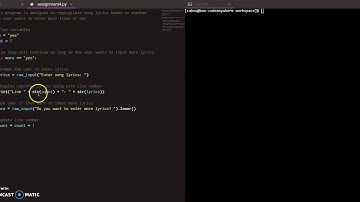 ISIN 306 Assignment 4 - While Loop