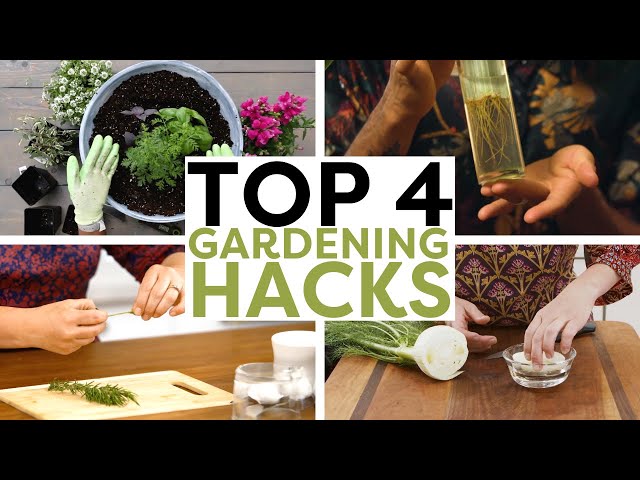 I'm a gardening expert - here's a cheap hack to turn plastic