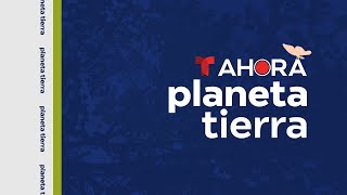 Download Lagu AHORA Planeta Tierra, sábado 7 de febrero de 2026 MP3