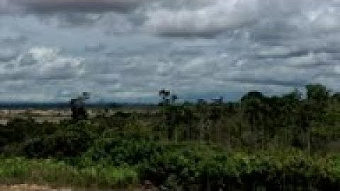 Peru’s military tries to curb illegal gold mining in Amazon - aerial footage