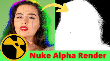 Nuke Shuffle Node Tutorial | How to Do Render In Aplha Nuke Class | 14 Hindi