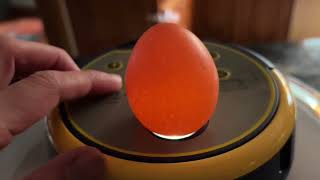 Bobmail egg incubator unboxing. #eggincubator #incubator #bobmail #chickenseggs