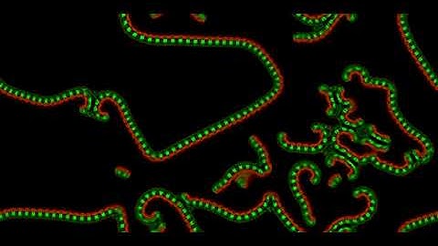 Cellular Automata - Slackermanz