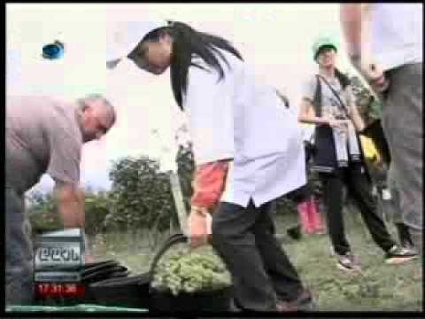 18 09 2015   კავკასია   დღეს 17 00