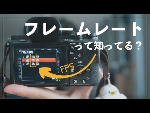 動画にマジで大事なフレームレートって知ってる？3分で解説します。