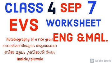 Class 4 evs Worksheet #Eng and mal. medium #sep. 7