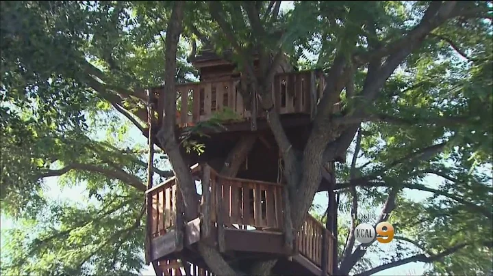 Rossmoor Family Thrilled They Get To Keep 3-Story ...