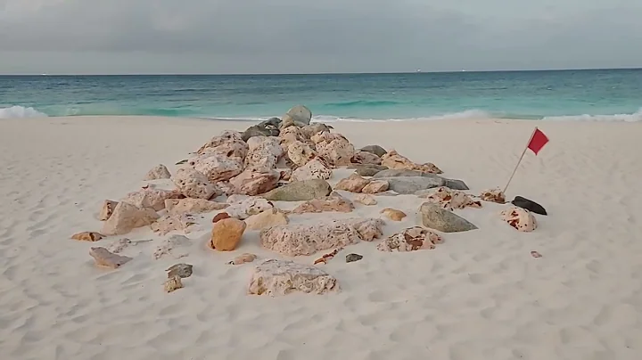 Aruba shoreline