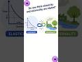 Link between Elasticity and Externality | Last Minute Economics