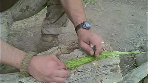 Making Soap From Yucca with John Campbell (Arizona Bushman)