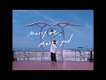the shes gone「マリーミー・マリーユー」Music Video
