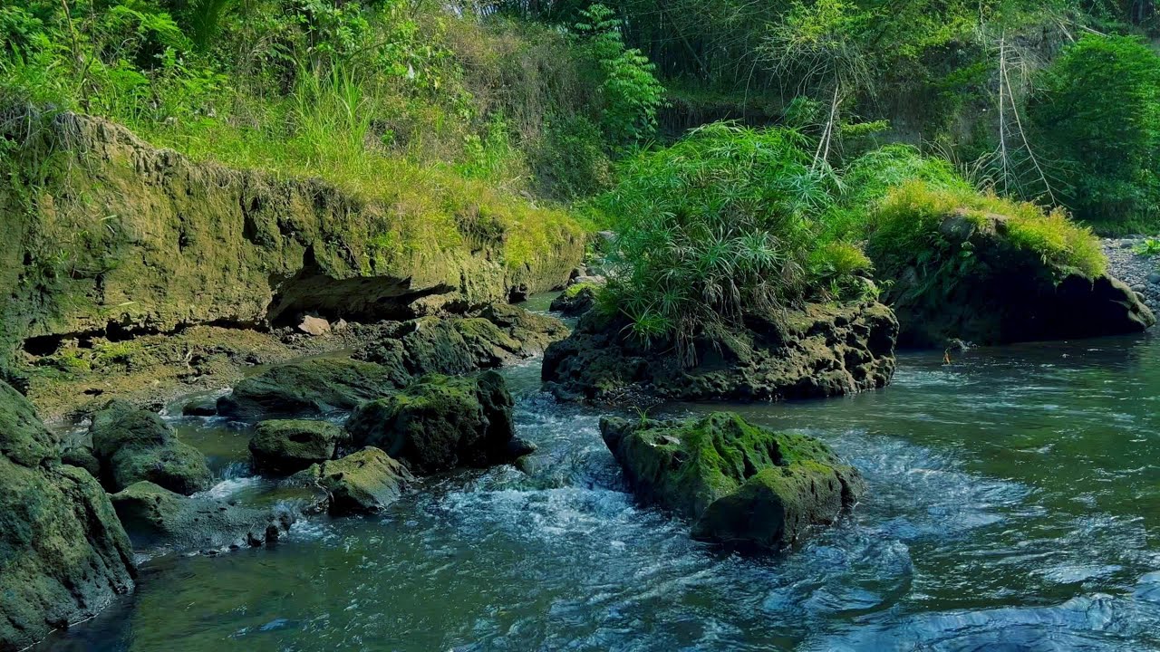 Great Water Stream - Restful Night in Nature's Arm | sleep - relax ...