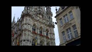 Grand Market Place of Louvain (Leuven)
