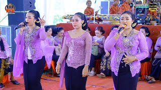 Live TAYUB GLERRR SURYO LARAS TRENGGALEK ^ NEWS 2026 PT. YAPA SANDY MEDIA KONDANGNYA TAYUB INDONESIA