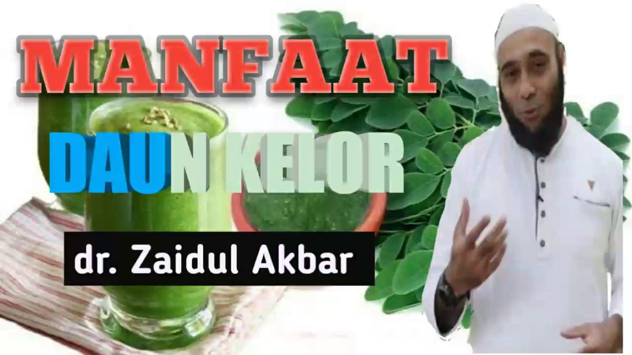 MANFAAT DAUN KELOR. dr. Zaidul Akbar 