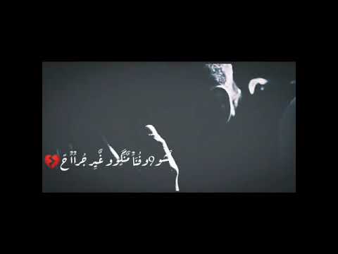 حالات واتس اغنيه امنا ليكو خدنا اي