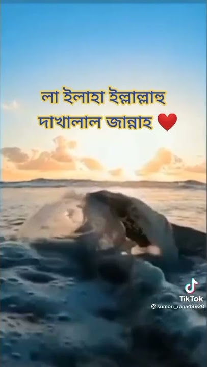 lailaha illallah dakhalal jannah😍