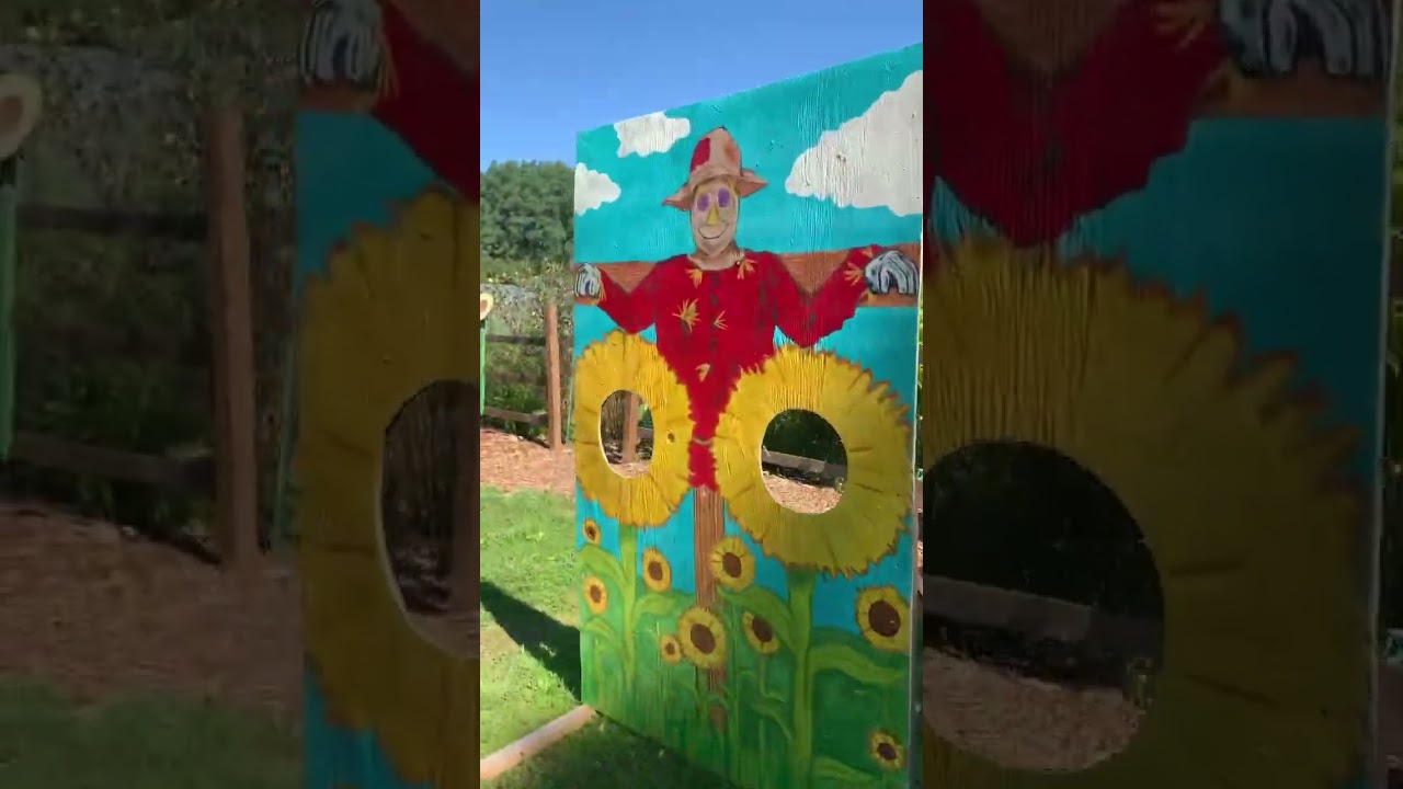 let’s explore manor farm, long island! mini sunflower maze! (pt1) li 