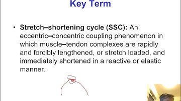 chapter 19 lecture Speed Agility Quickness