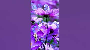 تلاوة خاشعة لسورة الملك بصوت القارئ عبد العزيز سحيم