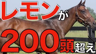 怪物レモンポップ、初年度から種付け200頭超え!日本トップクラスの期待を証明。