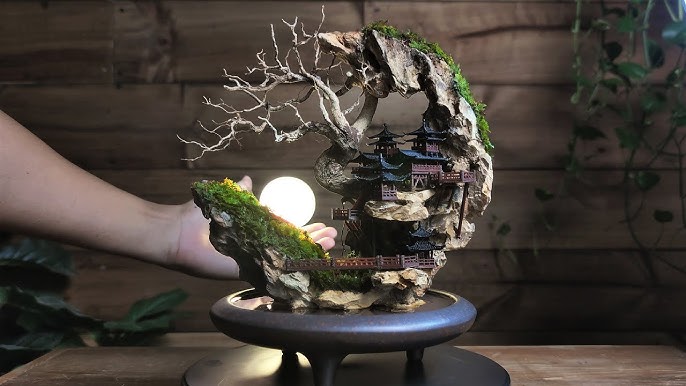 How to Make Green Moss for Bonsai Trees 