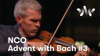 J.S. Bach: Violin Sonata No. 1 in G minor, Adagio // Per Kristian Skalstad, violin