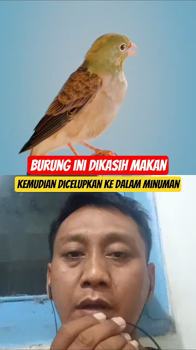 #shortvideo #viralvideo