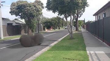 Blender smoke + camera track test 1