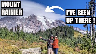 Visiting Mt Rainier National Park - Paradise, Grove of the Patriarchs, Ohanapecosh