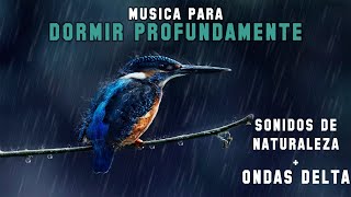 🎧 MUSICA PARA DORMIR 💦 LLUVIA, PAJAROS, CASCADA Y TRUENOS CON ONDAS DELTA 🌙