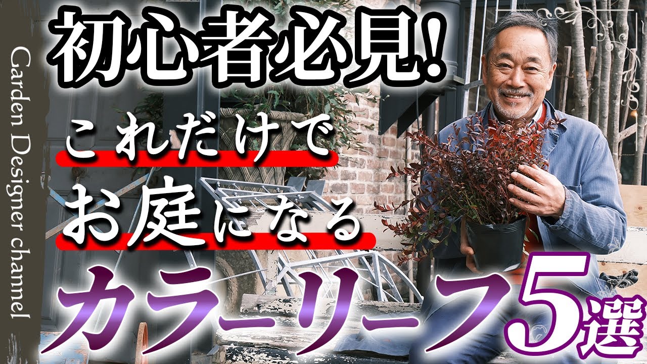 Gardeners recommend!] The world of colorful leaves to brighten up