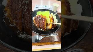 Katsu-Meshi Pork Cutlet Rice Bowl - Service Area Japan - Kansai