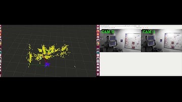 A Robust Stereo-Visual Inertial Navigation System in Dynamic Environment