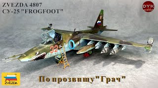СУ-25. По прозвищу 'Грач'/ SU-25 Zvezda 4807