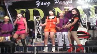 ALL ARTIS  SEXY -  *HELLO KITTY KOPLO LIVE SHOW * FD NADA