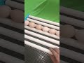 Hatchpro 70 egg turning tray fully automatic for home made egg Incubators #automaticeggincubator