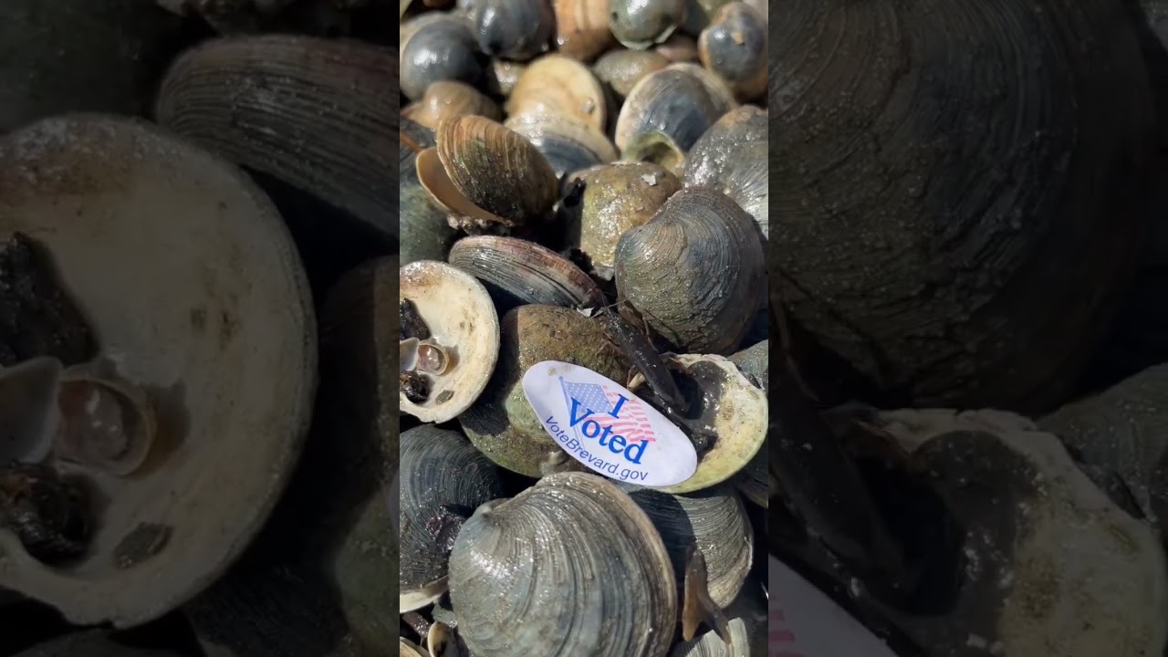 I voted said the clams and Pistol shrimp! 