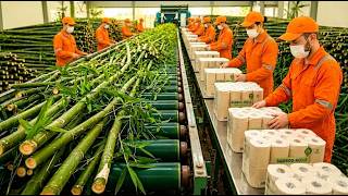 🎋 How Billions of Bamboo Stalks Become Soft Toilet Paper | Full Factory Process screenshot 2
