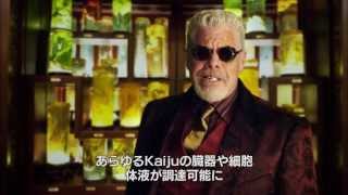 関連動画